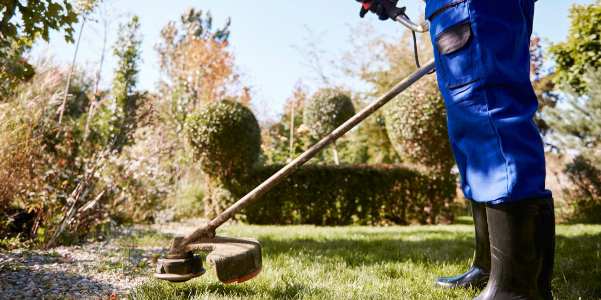 Débroussaillage Le Havre