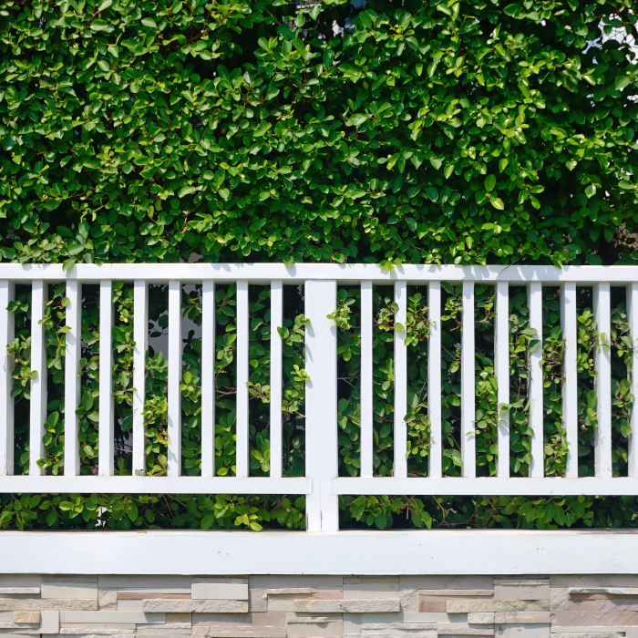 Pose de cloture Le Havre